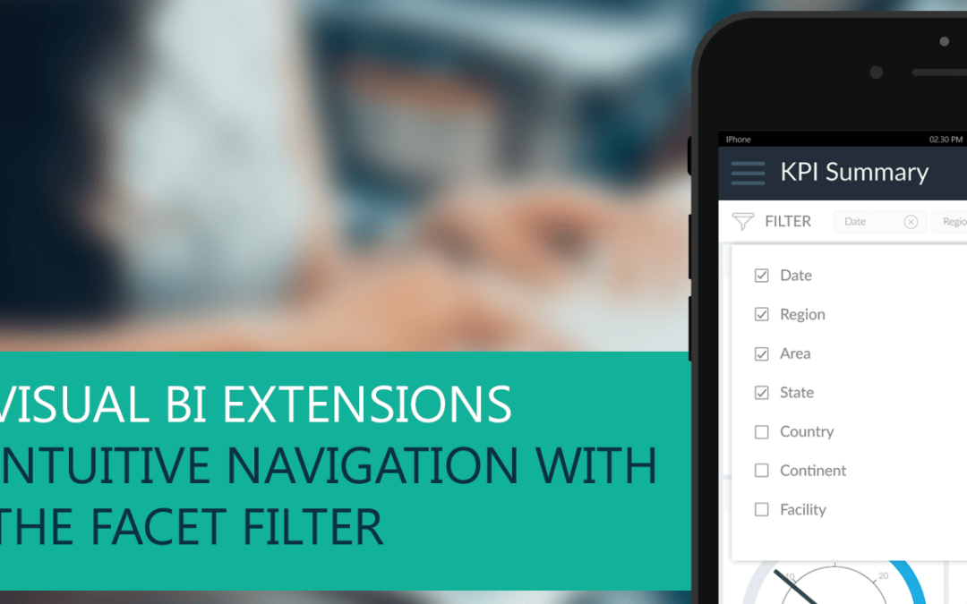 VBX – Intuitive Navigation with the Facet Filter